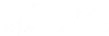 Nottingham-city-council-logo