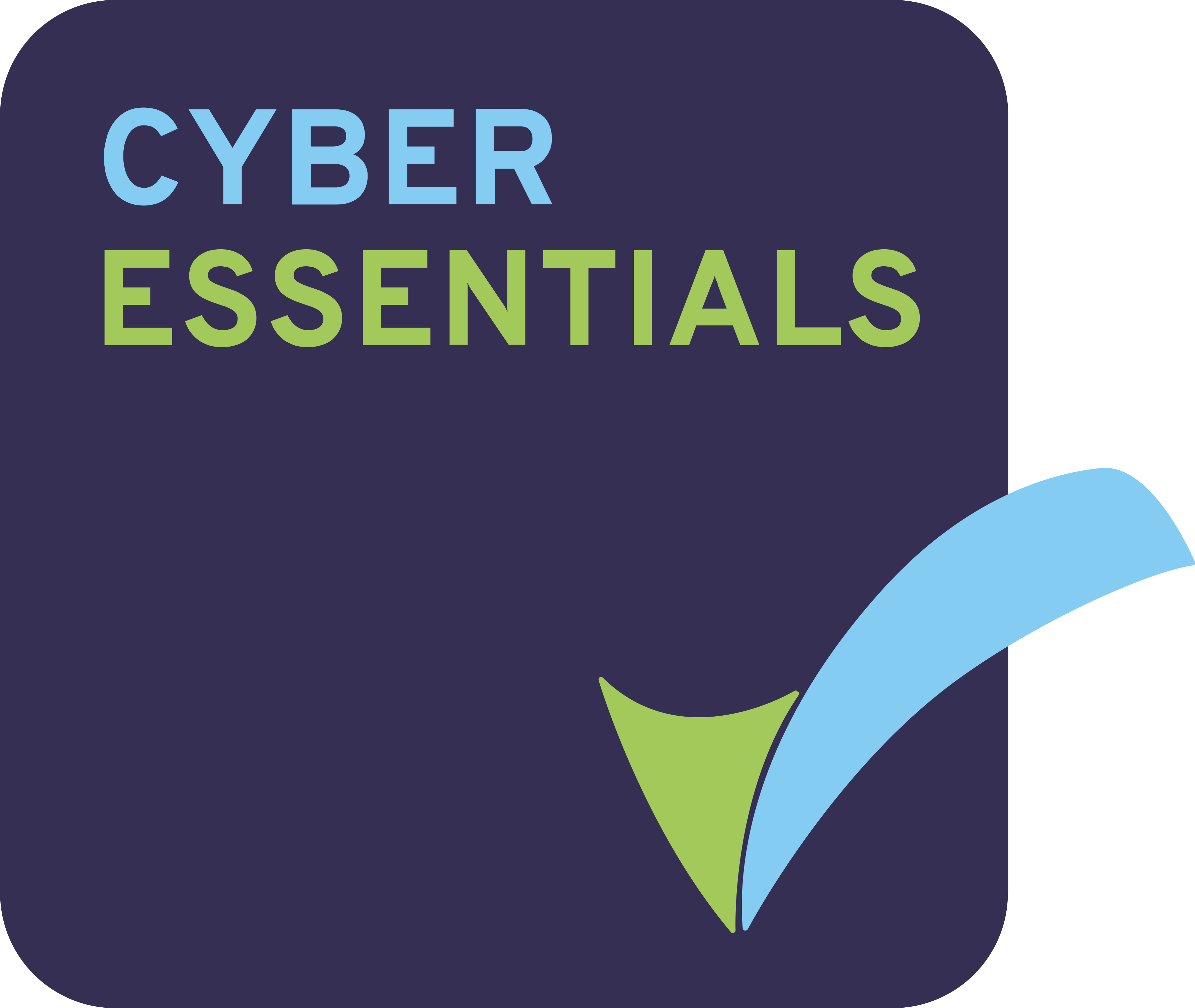 cyber-essentials cyber-essentials